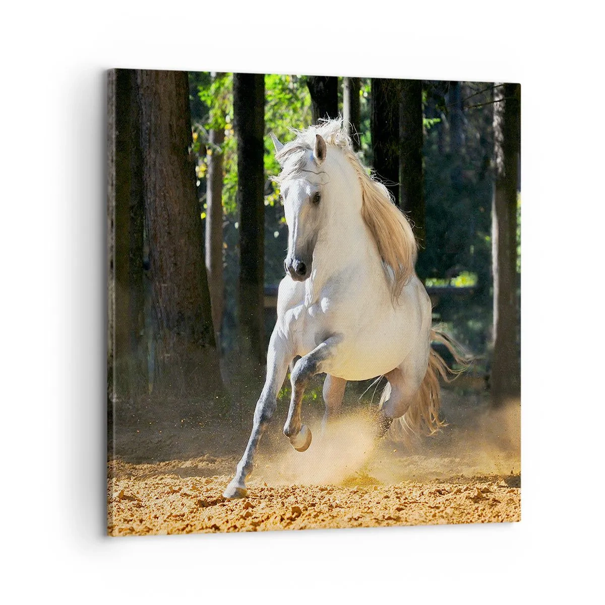 Impression sur toile - Image sur toile - Comme dans un roman fantastique - 60x60 cm