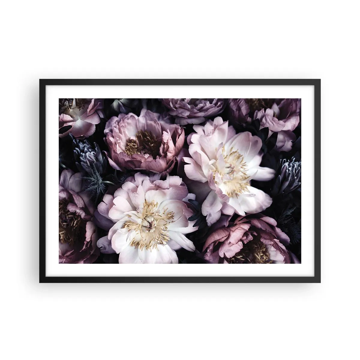 Affiche dans un cadre noir - Poster - Fleurs aux tons pastel délicats - 70x50cm - Bouquet à l'ancienne - Décoration murale moderne pour le salon et la chambre ARTTOR