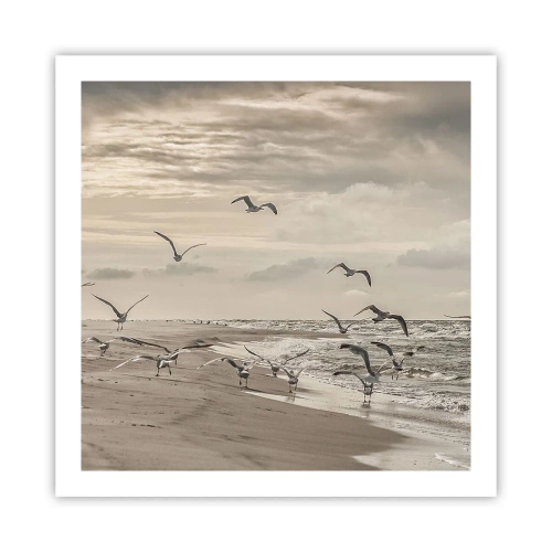 Affiche - Poster - Le bruit de la mer, le chant des oiseaux - 60x60 cm