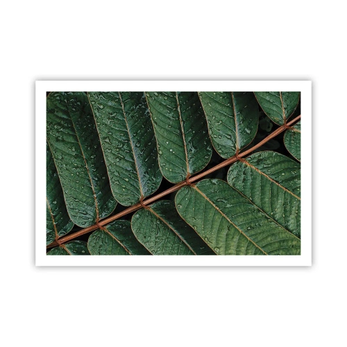 Affiche - Poster - Au rythme de la verdure - 91x61 cm