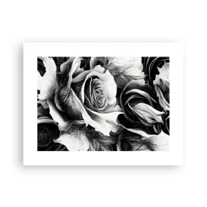 Affiche - Poster - Toujours une reine - 40x30 cm