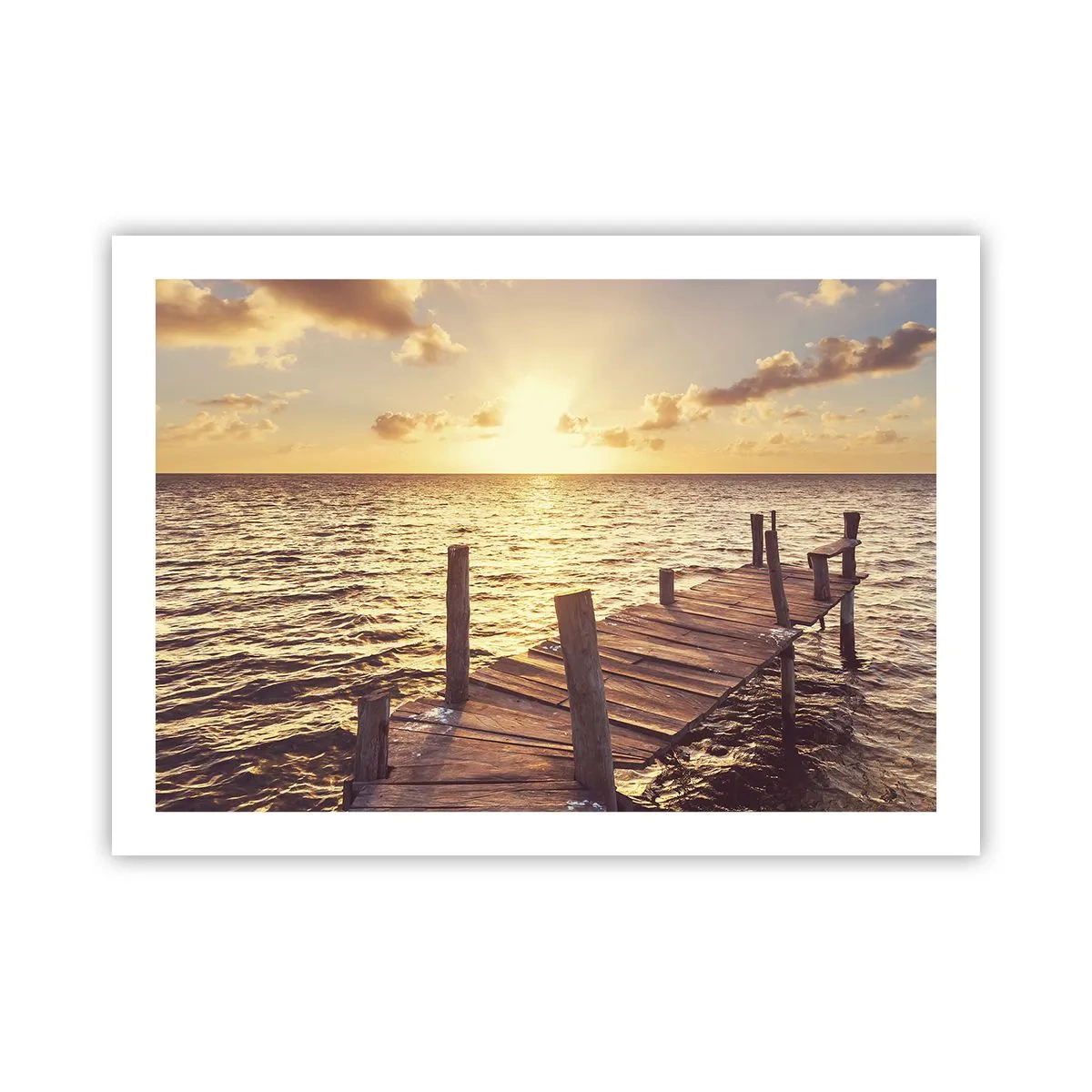 Affiche - Poster - La terre d'or de la douceur - 70x50 cm