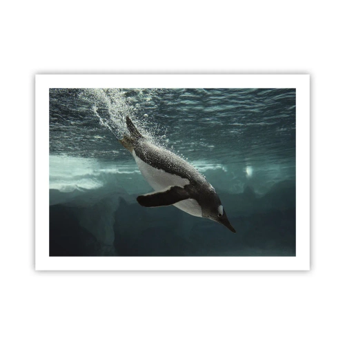 Affiche - Poster - Bienvenue dans mon monde - 70x50 cm