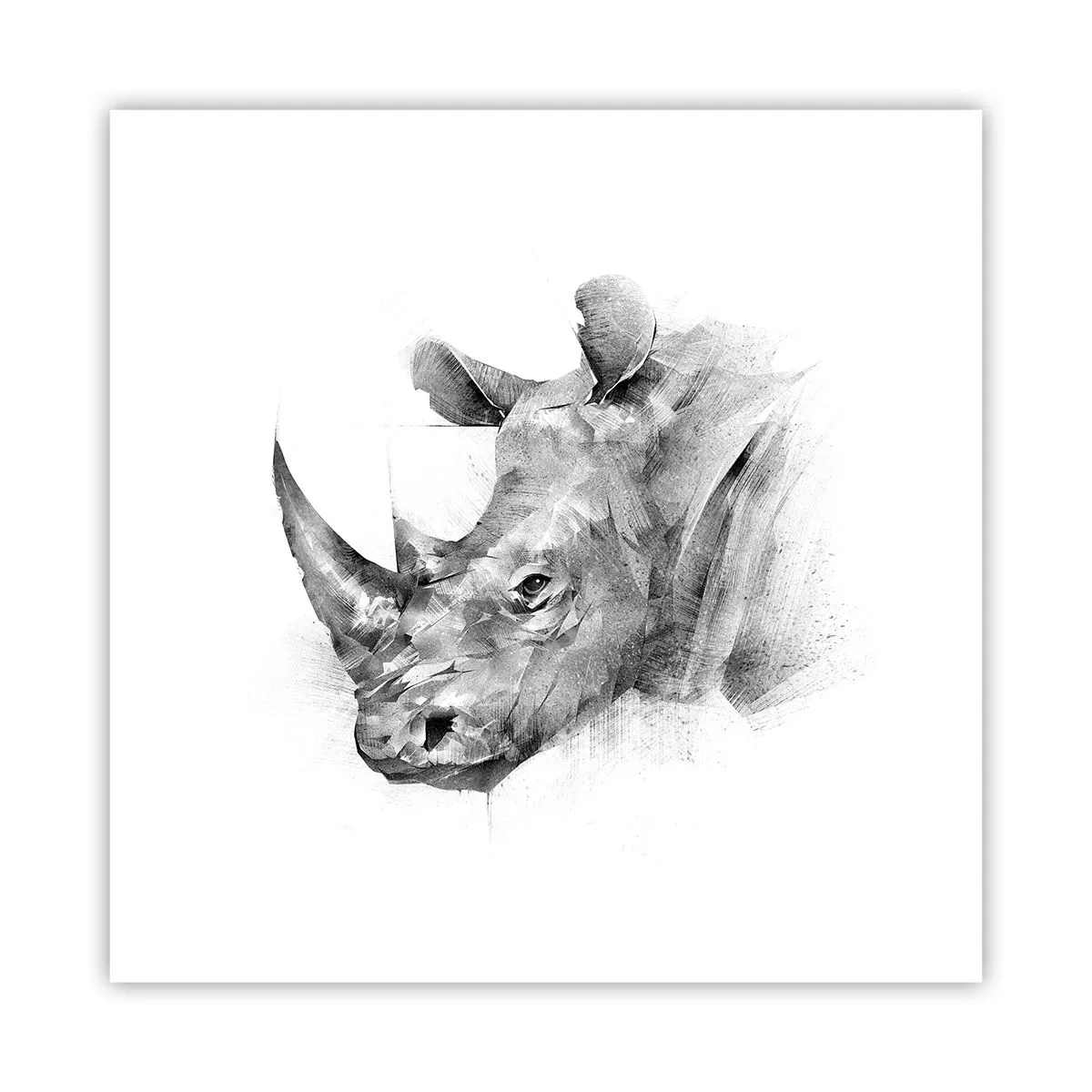 Affiche - Poster - Potrait africain - 30x30 cm