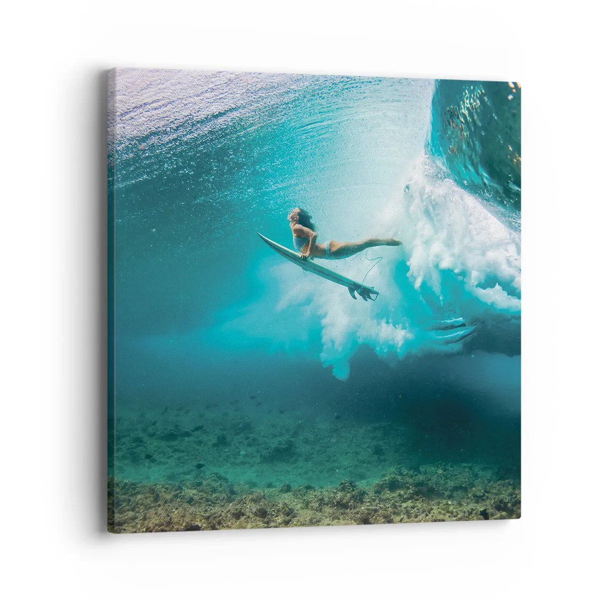 Impression sur toile - Image sur toile - Monde sous marin - 40x40 cm