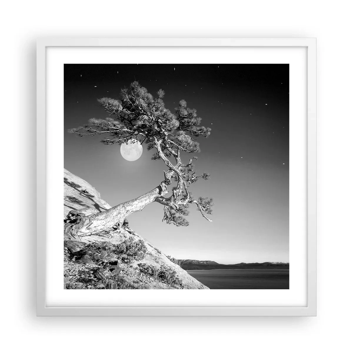 Affiche dans un cadre blanc - Poster - Un combattant vainqueur - 50x50 cm