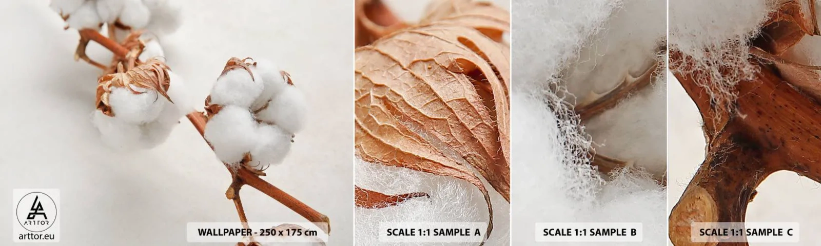 Échantillon de Papier Peint Autocollant Deluxe Sticker - Seulement caliner - Fleur de coton, Fleur, Brindille de coton - 100x30 cm