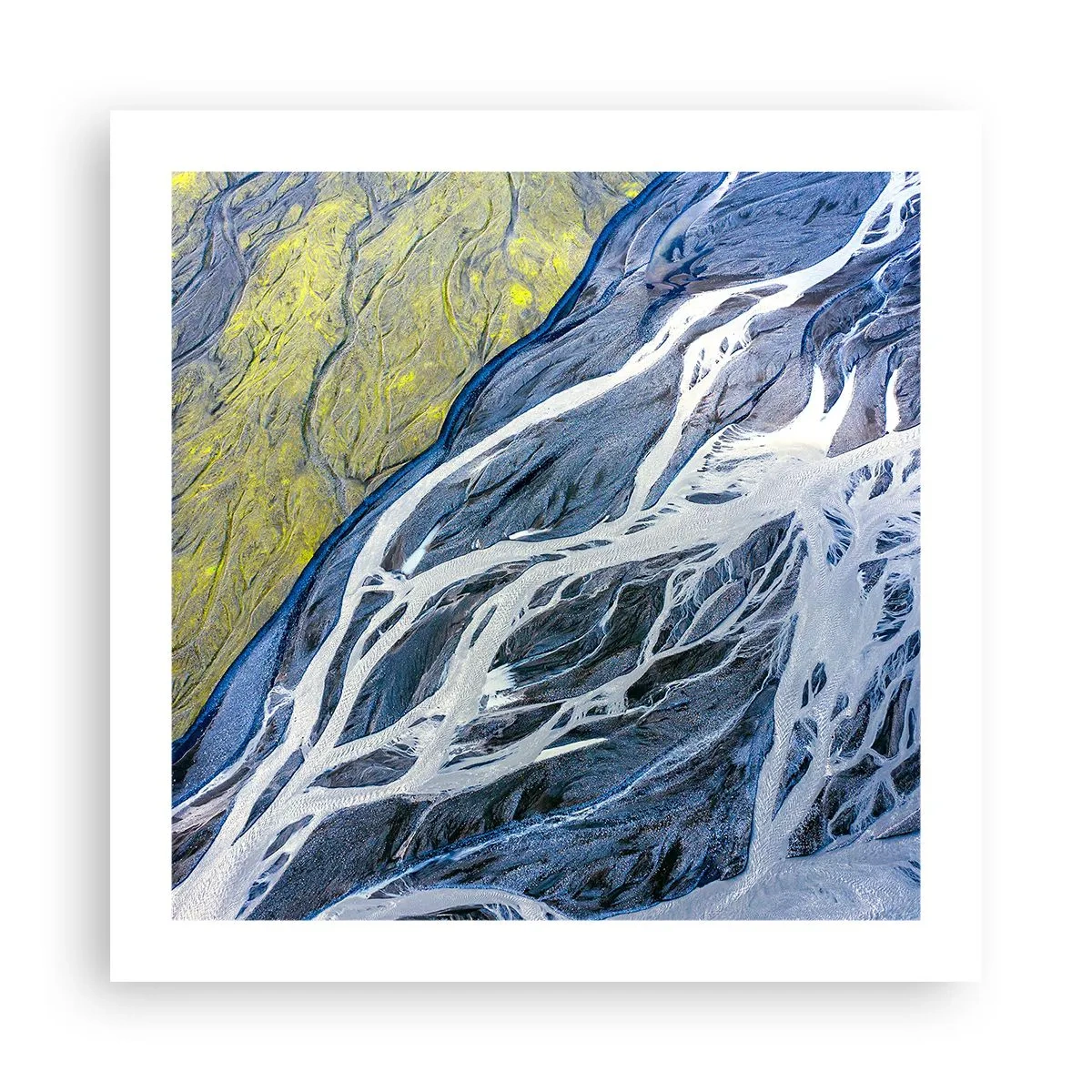 Affiche - Poster - Peintures rupestres de la nature - 50x50 cm
