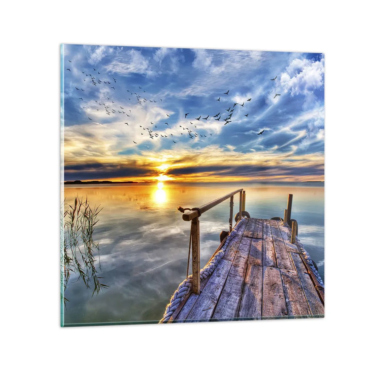 Impression sur verre - Image sur verre - Le vent se repose - 50x50 cm