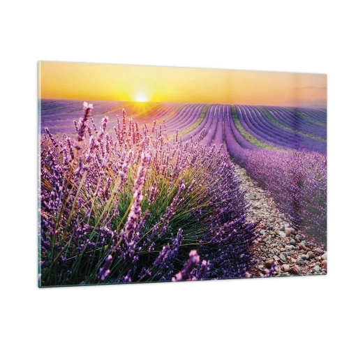 Impression sur verre - Image sur verre - Champ de lavande au lever du soleil avec un chemin rocailleux - 120x80cm - Tige parfumée - Décoration murale moderne pour le salon et la chambre ARTTOR