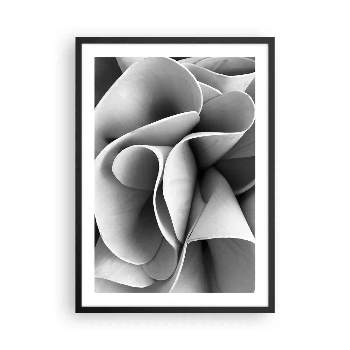 Affiche dans un cadre noir - Poster - Pétales abstraits dans des tons de gris - 50x70cm - Il s'en passe dans l'espace - Décoration murale moderne pour le salon et la chambre ARTTOR