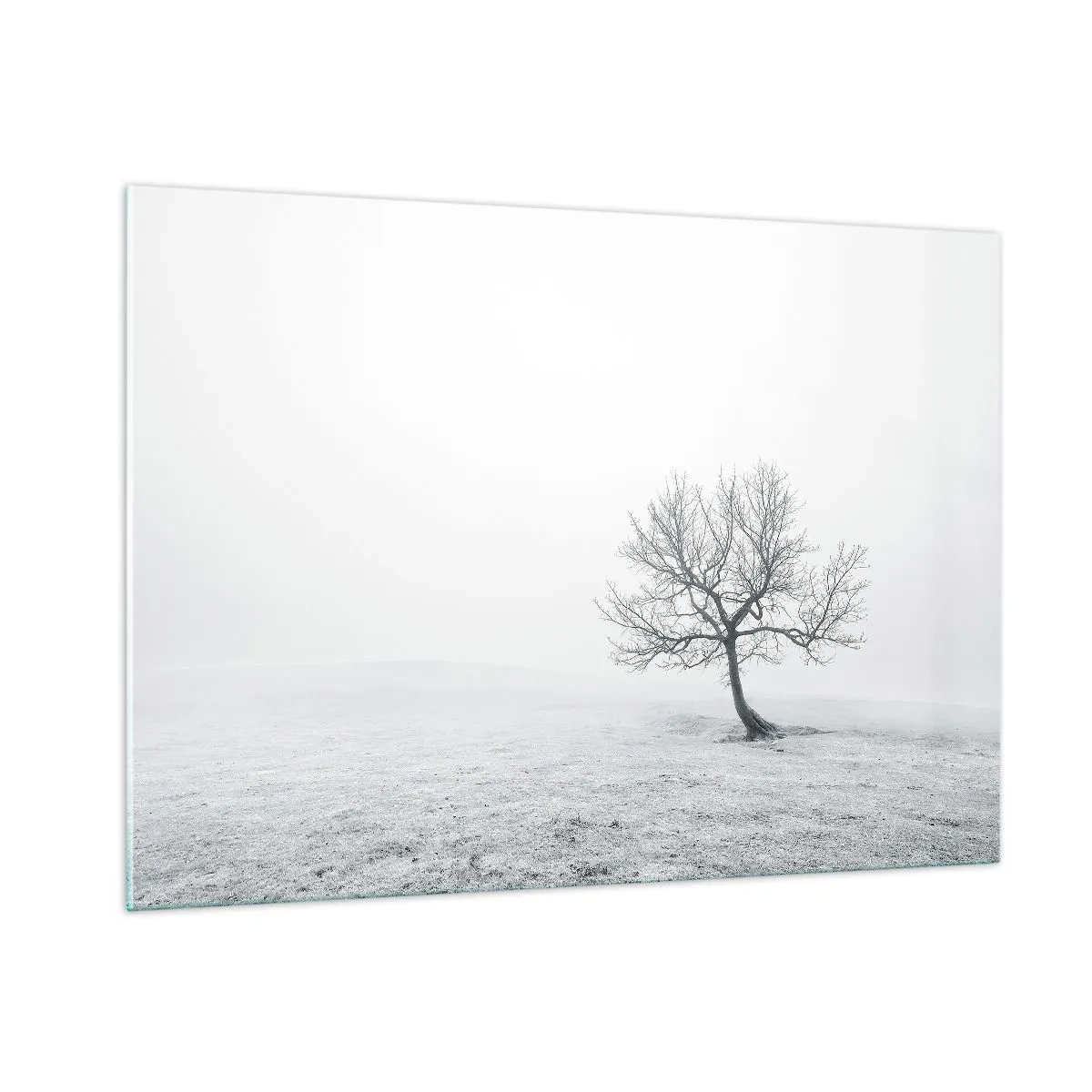Impression sur verre - Image sur verre - Un arbre solitaire contre le brouillard dans une composition monochrome - 100x70cm - Contre le néant - Décoration murale moderne pour le salon et la chambre ARTTOR