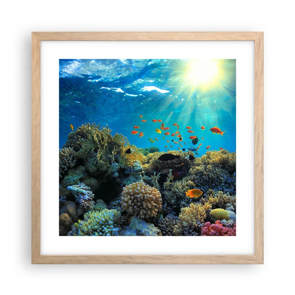 Affiche dans un chêne clair - Poster - Trésor sous-marin - 40x40 cm