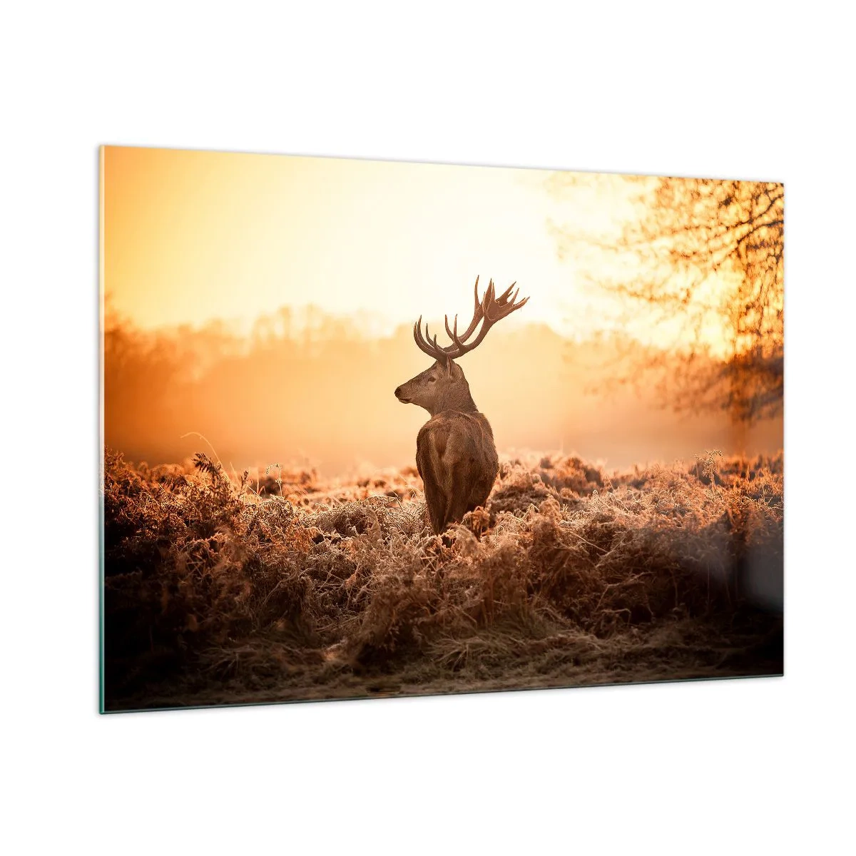 Impression sur verre - Image sur verre - Cerf sur fond de lever de soleil dans un paysage naturel - 100x70cm - Seigneur du domaine - Décoration murale moderne pour le salon et la chambre ARTTOR