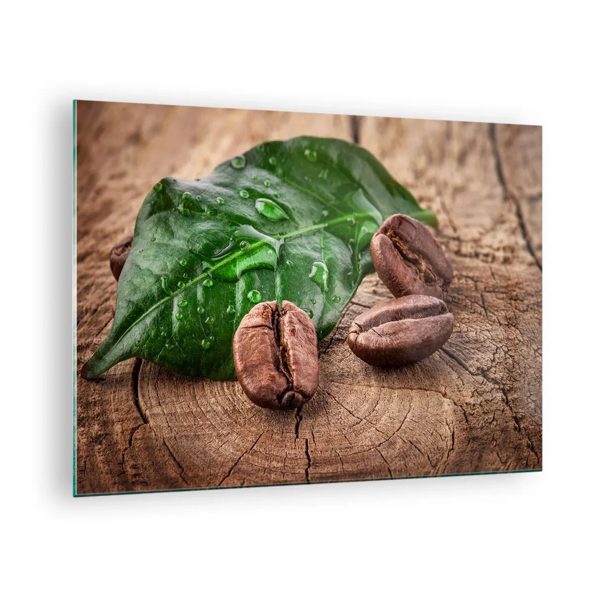 Impression sur verre - Image sur verre - Grains de café sur fond de feuilles et de bois - 70x50cm - La plus vraie et noire - Décoration murale moderne pour le salon et la chambre ARTTOR