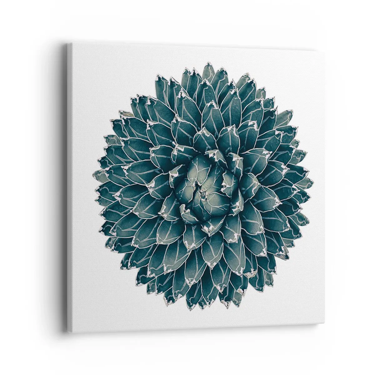 Impression sur toile - Image sur toile - Étoile du désert - 40x40 cm