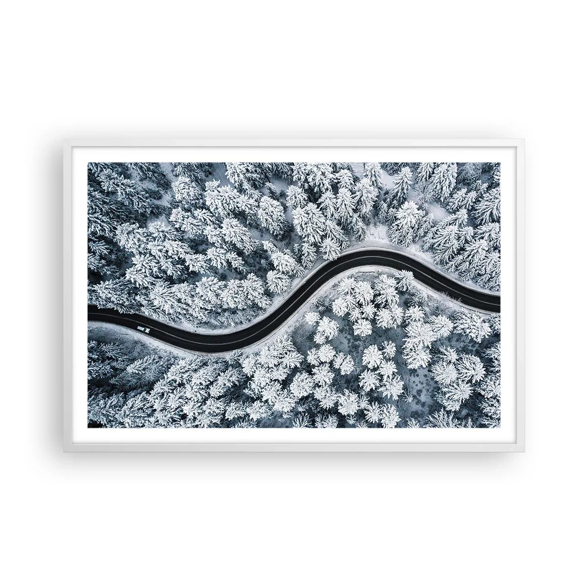 Affiche dans un cadre blanc - Poster - À travers une forêt d'hiver - 91x61 cm