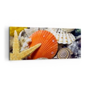 Impression sur toile - Image sur toile - Coquillages et étoiles de mer dans une composition marine - 120x50cm - Trésors de l'océan - Décoration murale moderne pour le salon et la chambre ARTTOR