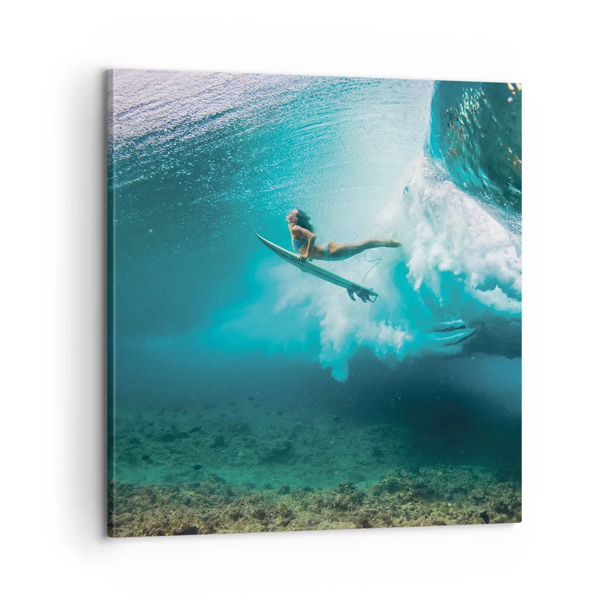 Impression sur toile - Image sur toile - Monde sous marin - 60x60 cm