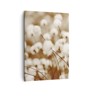 Impression sur toile - Image sur toile - Un champ de plantes délicates aux tons sépia - 50x70cm - Tige moelleuse - Décoration murale moderne pour le salon et la chambre ARTTOR