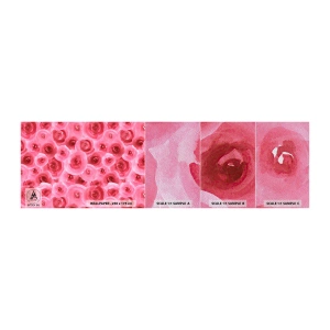 Échantillon de Papier Peint Premium Sand - Roses en-haut et en-bas - Fleurs, Beauté, le romantisme - 100x30 cm