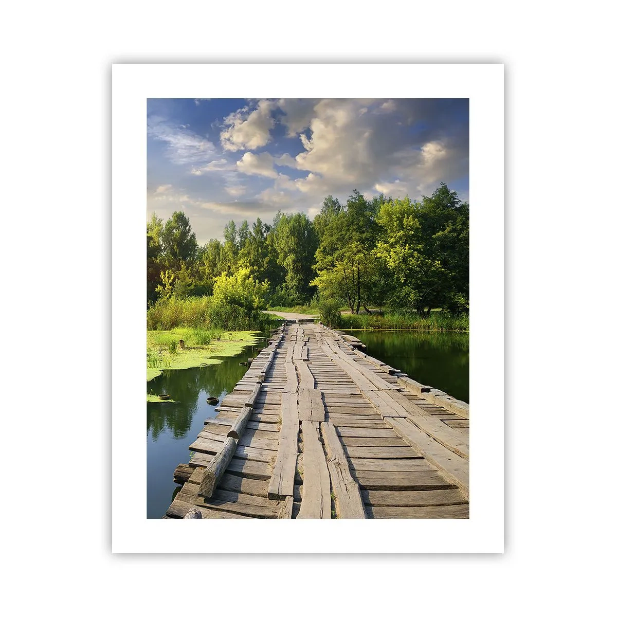 Affiche - Poster - L'été, l'été partout - 40x50 cm