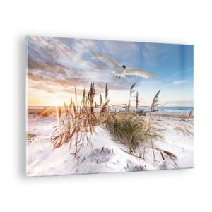 Impression sur verre - Image sur verre - Un oiseau survolant les dunes au coucher du soleil - 70x50cm - Vent de mer - Décoration murale moderne pour le salon et la chambre ARTTOR