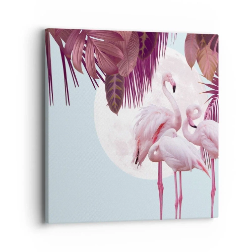 Impression sur toile - Image sur toile - Trois oiseaux gracieux - 40x40 cm