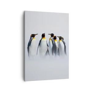 Impression sur toile - Image sur toile - Un groupe de manchots empereurs dans le brouillard hivernal - 50x70cm - Rencontre en robes de soirée - Décoration murale moderne pour le salon et la chambre ARTTOR