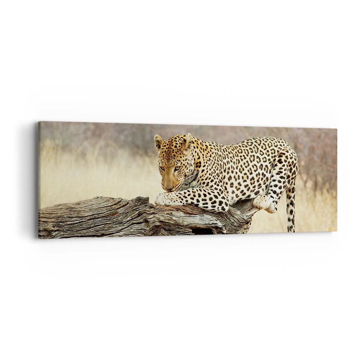 Impression sur toile - Image sur toile - Je suis ma propre route - 90x30 cm