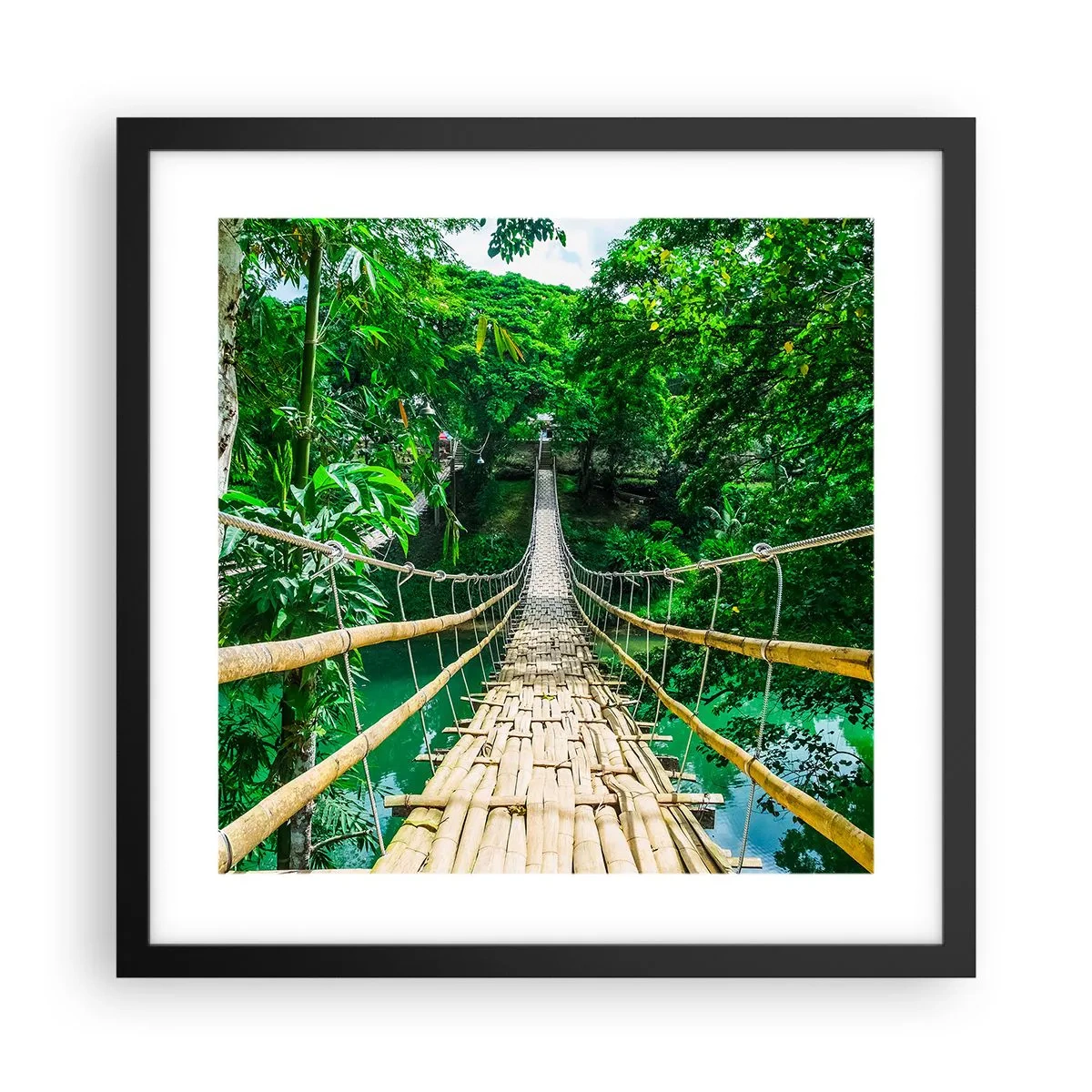 Affiche dans un cadre noir - Poster - Pont de singe en pleine nature - 40x40 cm