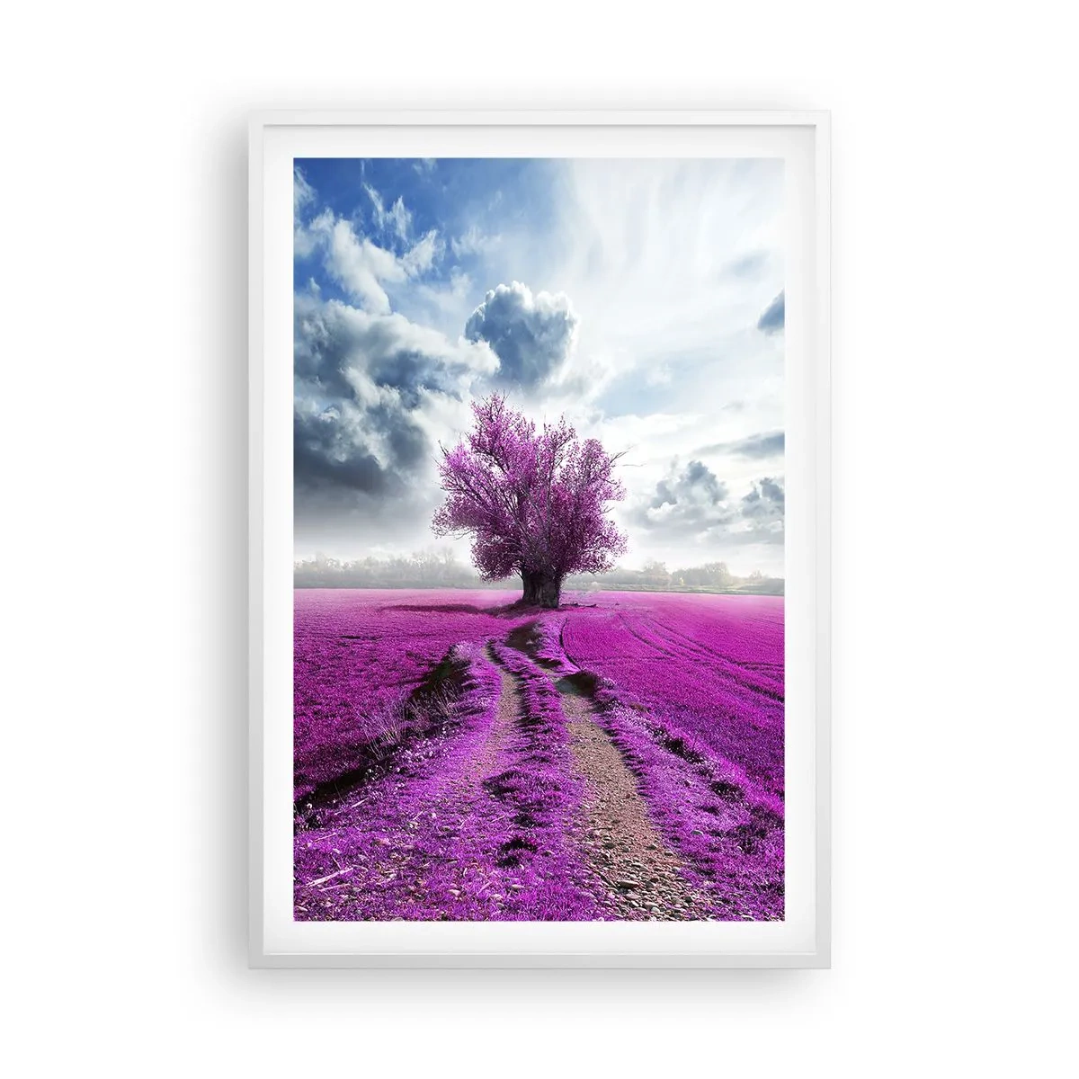 Affiche dans un cadre blanc - Poster - Lande - nature sauvage - 61x91 cm