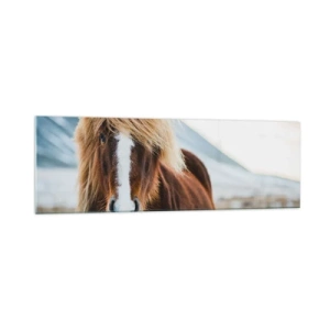Impression sur verre - Image sur verre - Cheval islandais dans un paysage de montagne - 160x50cm - Sentez-vous la liberté ? - Décoration murale moderne pour le salon et la chambre ARTTOR