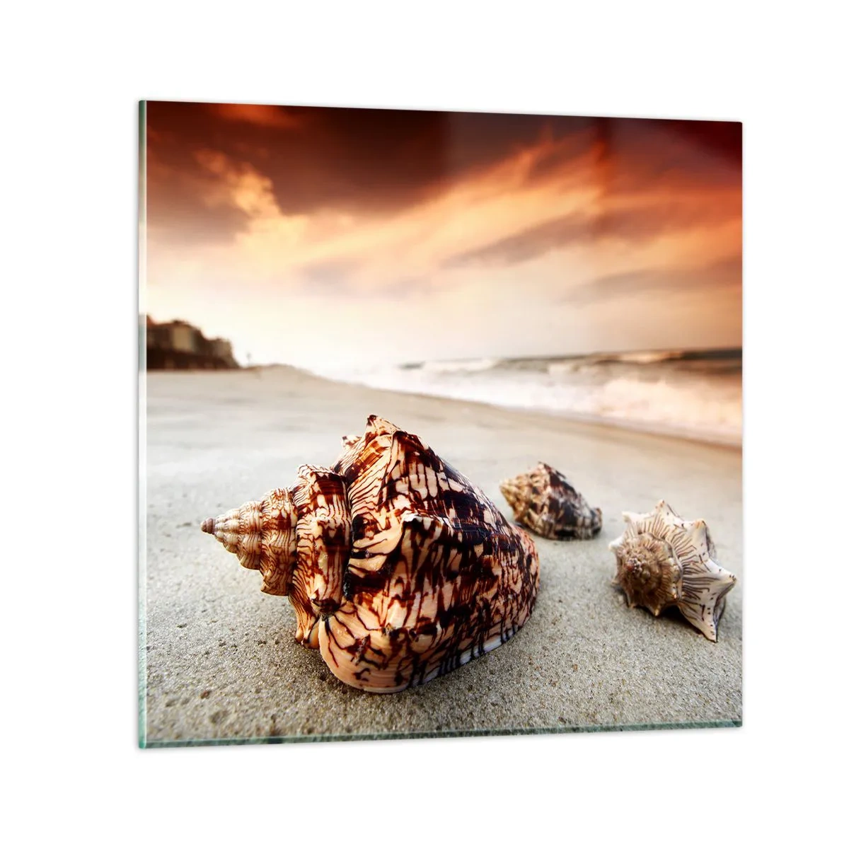 Impression sur verre - Image sur verre - Les parias des vagues - 60x60 cm