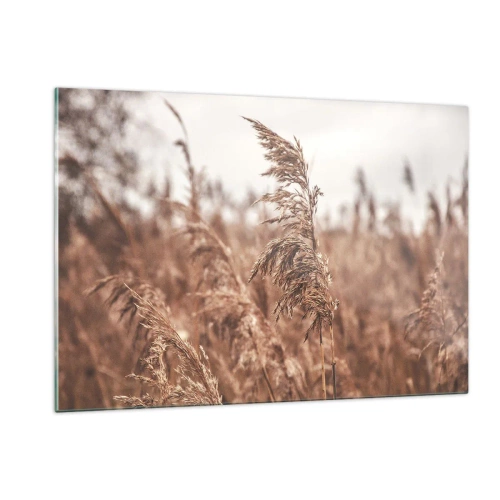 Impression sur verre - Image sur verre - Herbes séchées dans le vent dans la lumière d'automne de la nature - 120x80cm - C'est déjà l'automne dans les champs - Décoration murale moderne pour le salon et la chambre ARTTOR