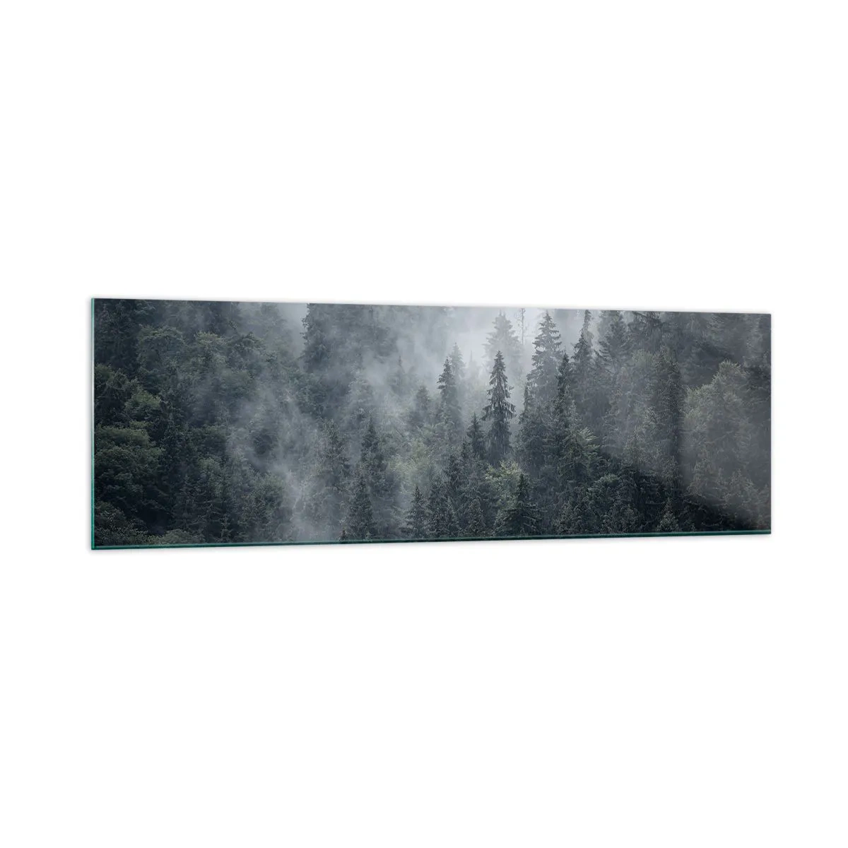 Impression sur verre - Image sur verre - Forêt de conifères brumeuse aux tons gris et verts - 160x50cm - Aube de la forêt - Décoration murale moderne pour le salon et la chambre ARTTOR