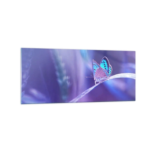 Impression sur verre - Image sur verre - Un délicat papillon bleu sur une tige dans une lumière violette - 120x50cm - Un joyau de la nature - Décoration murale moderne pour le salon et la chambre ARTTOR