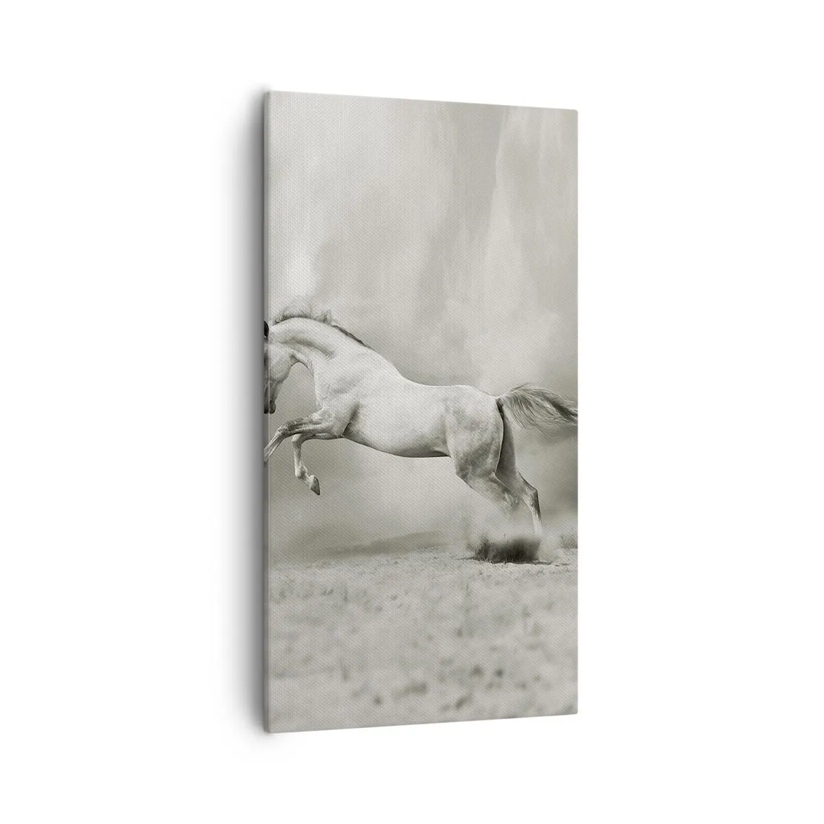 Impression sur toile - Image sur toile - Entre le réveil et le sommeil - 55x100 cm