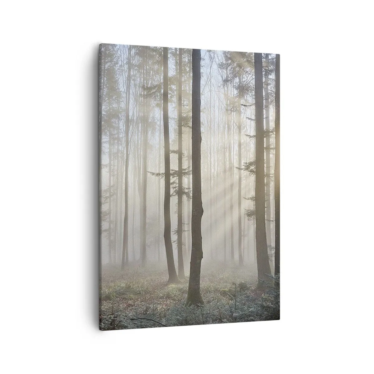 Impression sur toile - Image sur toile - Une forêt dans un léger brouillard avec des rayons de soleil qui brillent à travers les arbres - 50x70cm - Le brouillard s'est aussi réveillé - Décoration murale moderne pour le salon et la chambre ARTTOR
