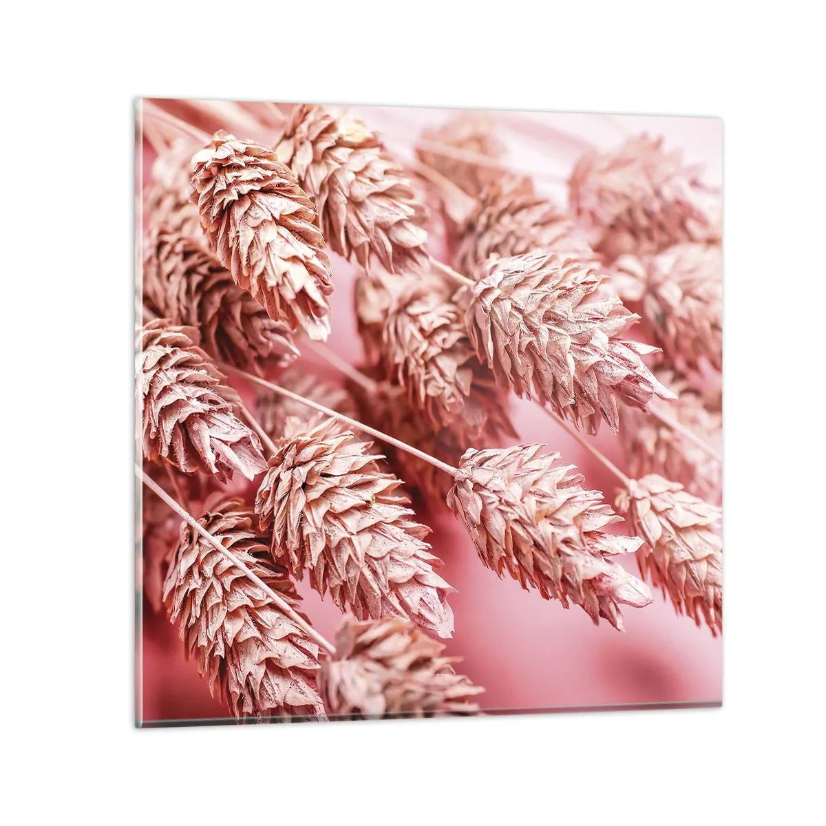 Impression sur verre - Image sur verre - Une cascade florale en rose - 40x40 cm