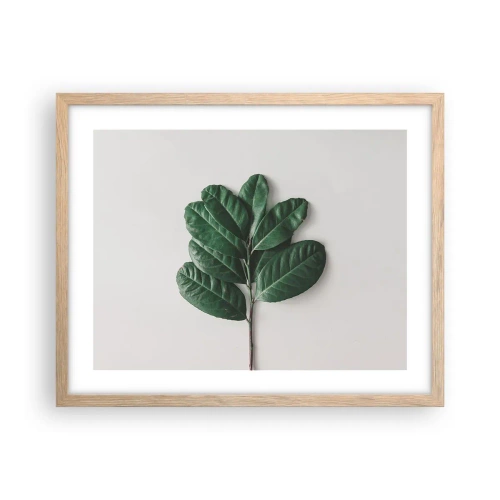Affiche dans un chêne clair - Poster - Dessin de la nature elle-même - 50x40 cm