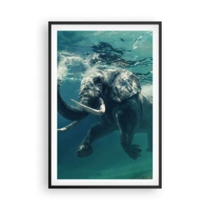 Affiche dans un cadre noir - Poster - Tout le monde aime nager - 61x91 cm