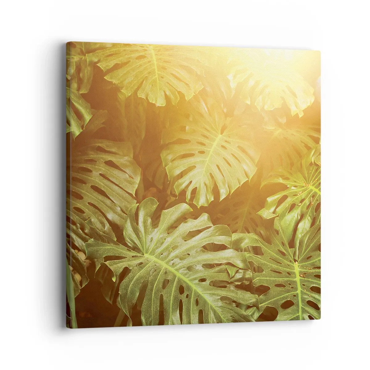 Impression sur toile - Image sur toile - Se fondre dans la verdure - 40x40 cm