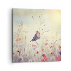 Impression sur toile - Image sur toile - Portrait d'oiseau sur pré en fond - 70x70 cm