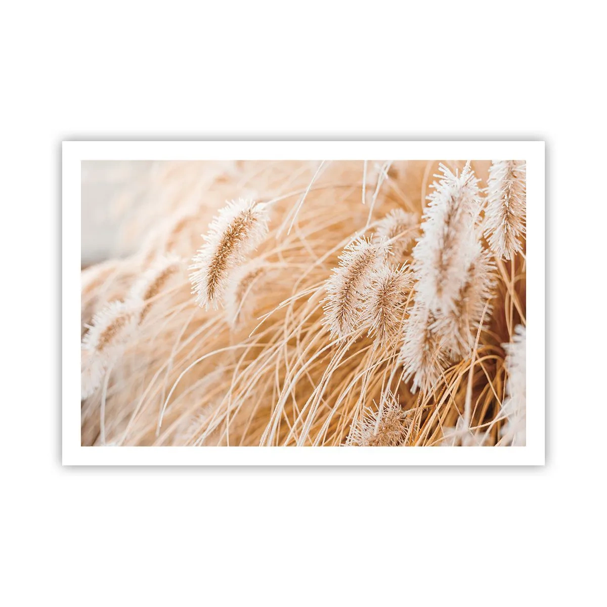 Affiche - Poster - Le bruissement doré de l'herbe - 91x61 cm