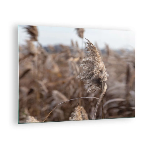 Impression sur verre - Image sur verre - Gros plan sur l'herbe sèche se balançant dans le vent - 70x50cm - Il est temps de s'envoler avec le vent - Décoration murale moderne pour le salon et la chambre ARTTOR