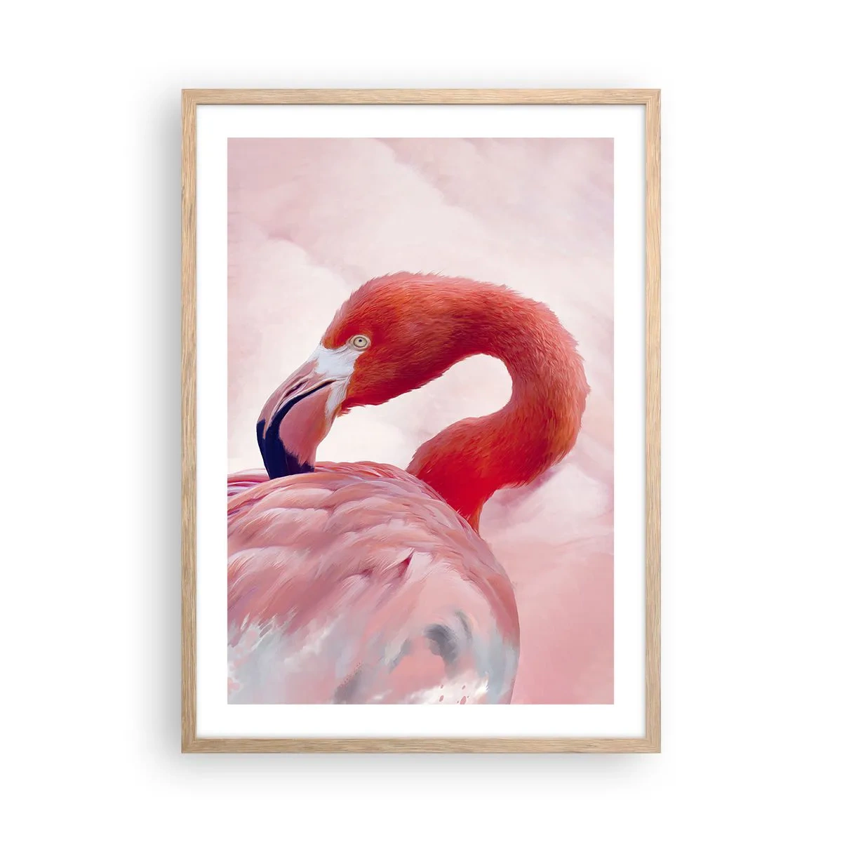 Affiche dans un chêne clair - Poster - Beauté des oiseaux - 50x70 cm