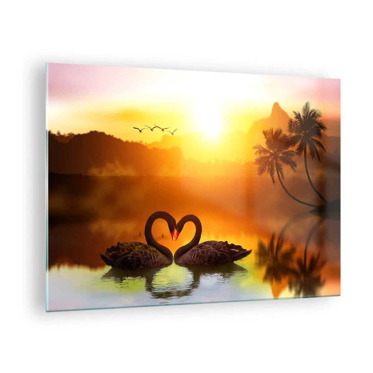Impression sur verre - Image sur verre - Cygnes noirs sur le lac au coucher du soleil - 70x50cm - Tout va ensemble - Décoration murale moderne pour le salon et la chambre ARTTOR