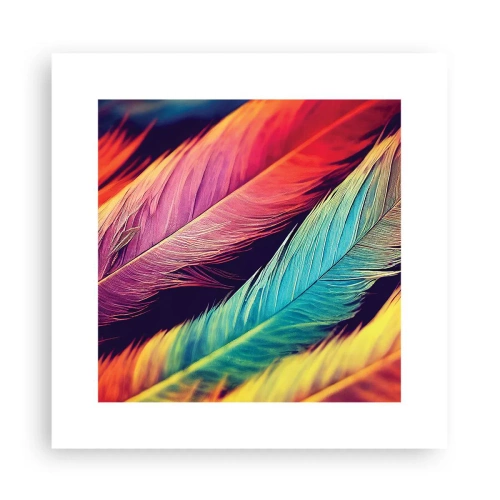 Affiche - Poster - Arc-en-ciel de plumes - 30x30 cm