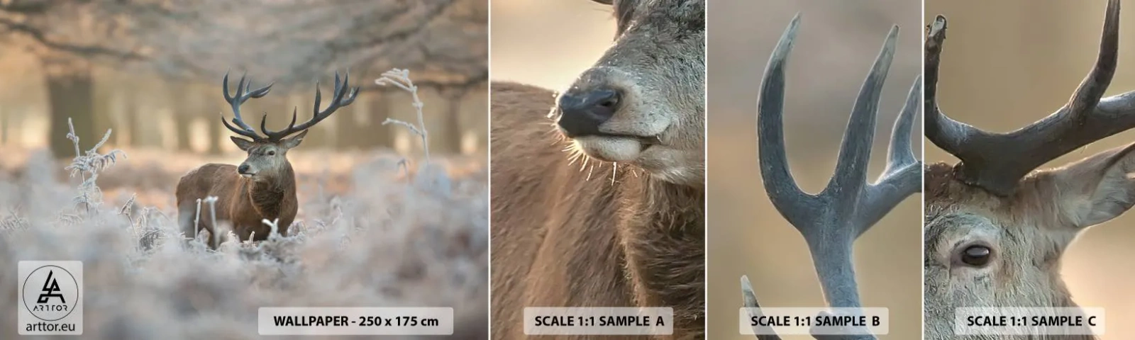 Échantillon De Papier Peint Standard Eco - Une matinée animée - Paysage, Cerf, Animaux - 100x30 cm